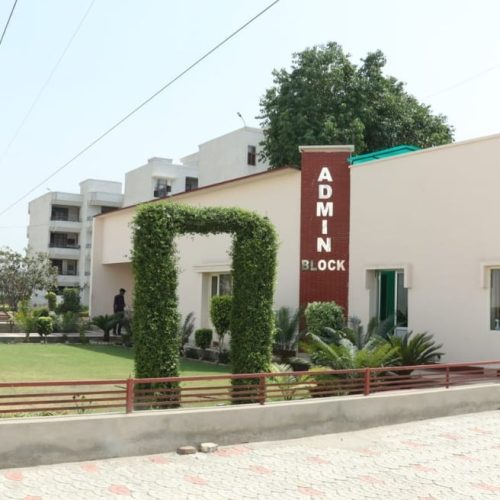 c-2-YX4Z1VvjXWSqqG1r